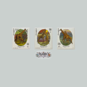 Królowie Sawanny – Kompletna Seria „Żyrafy” (Somalia 2000) MNH!