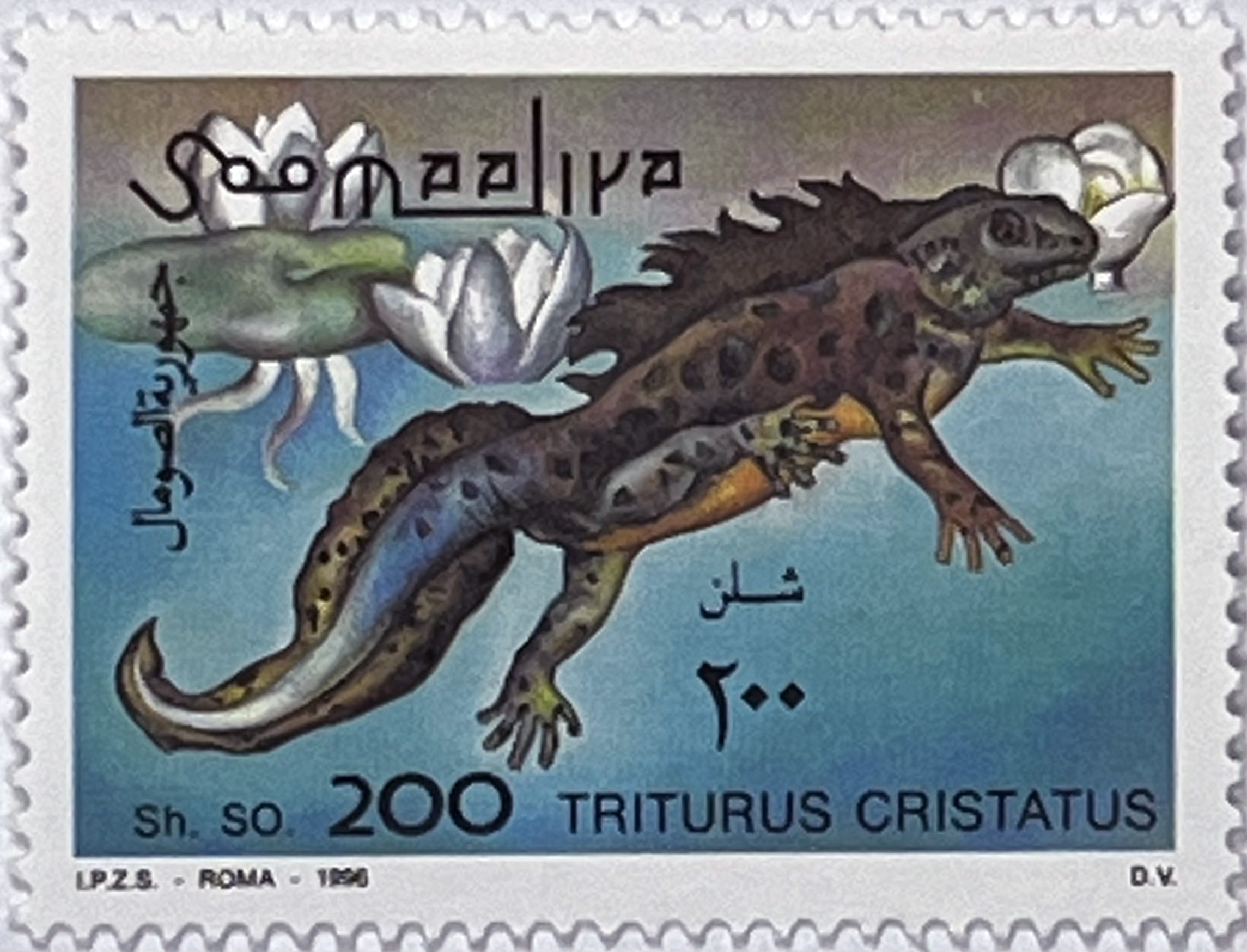 🐸 Egzotyczny Świat Płazów – Kompletna Seria „Płazy” (Somalia 1996) MNH! ✨