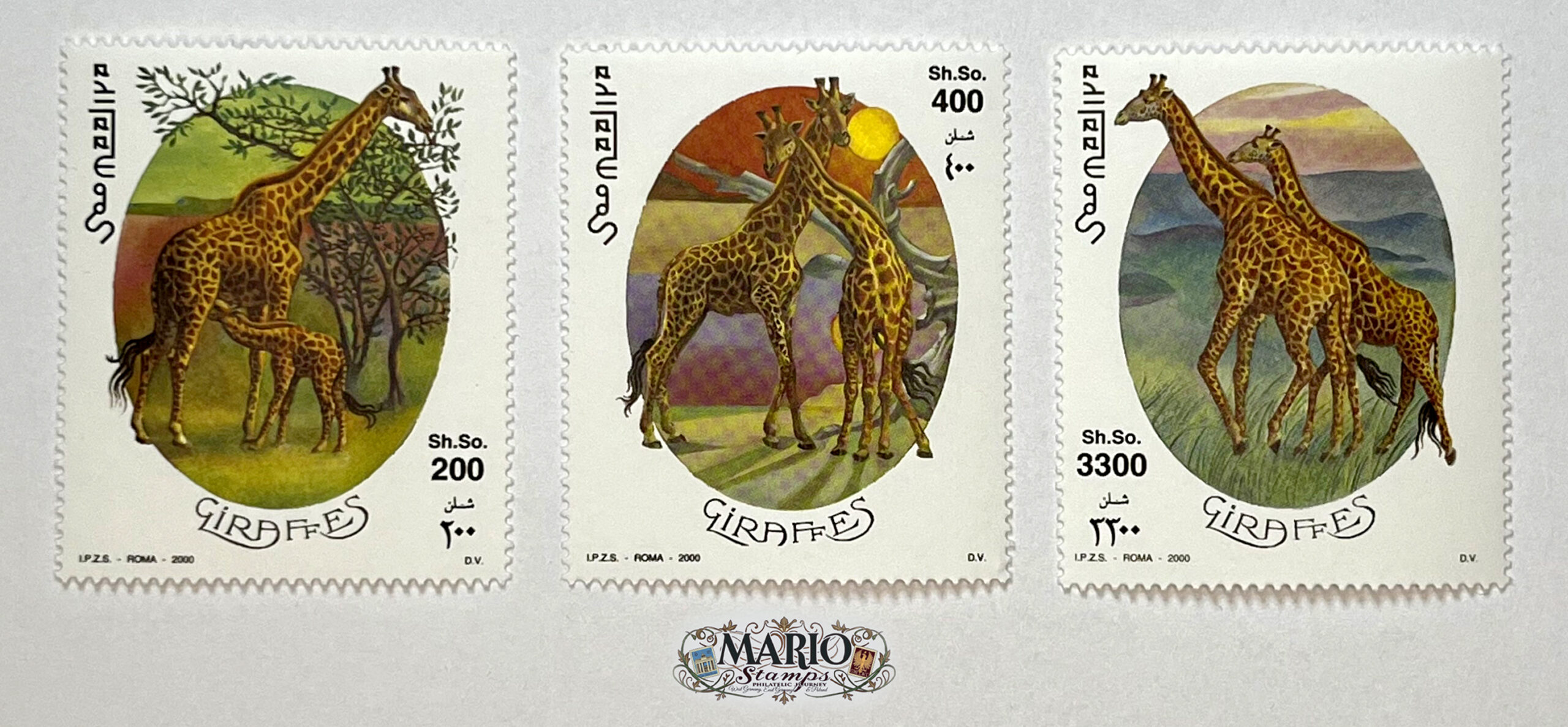 🦒 Królowie Sawanny – Kompletna Seria „Żyrafy” (Somalia 2000) MNH! 🌍