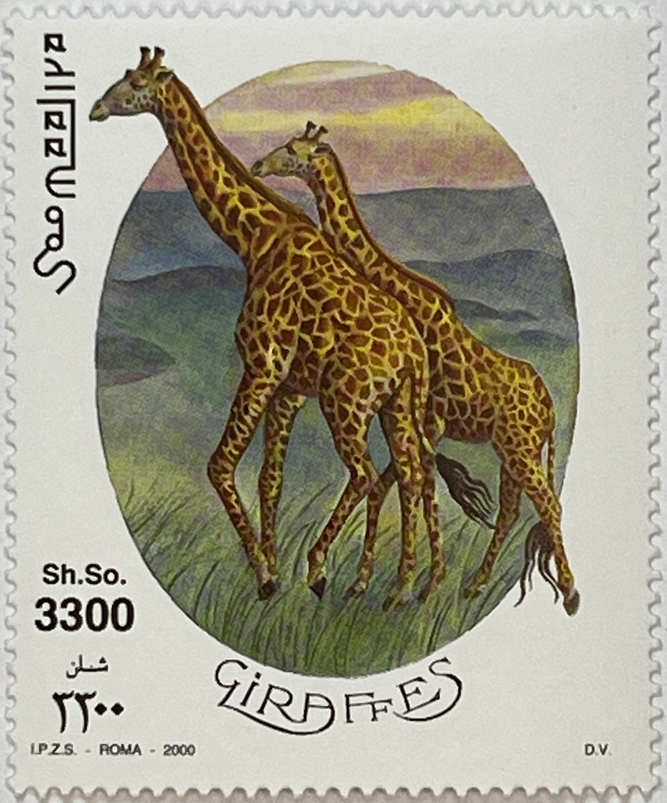 🦒 Królowie Sawanny – Kompletna Seria „Żyrafy” (Somalia 2000) MNH! 🌍 - obrazek 4