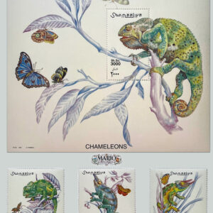 Somalia Kameleony