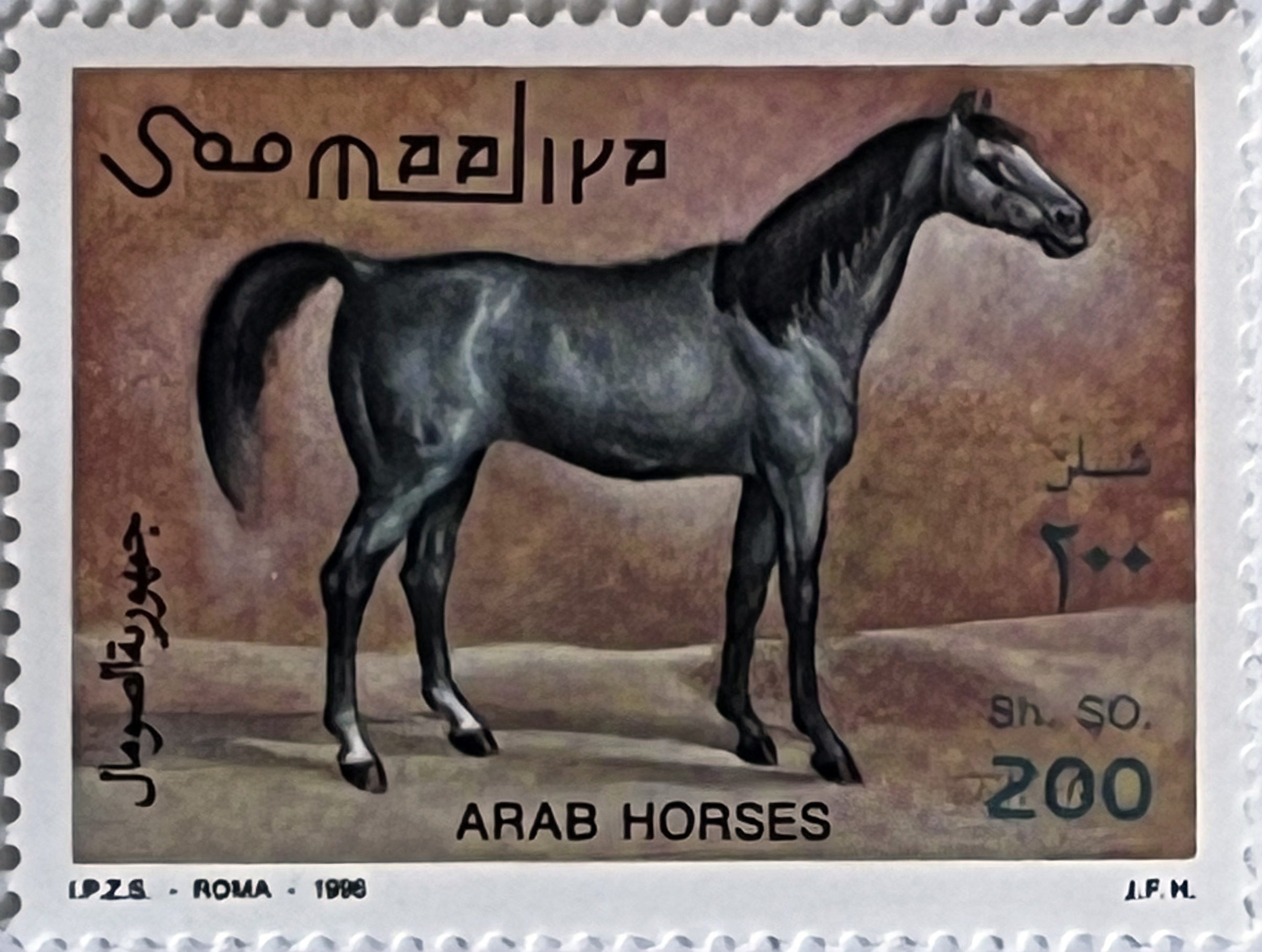 🐎 Szlachetna Krew – Seria "Konie Arabskie" (Somalia 1996) MNH! ✨ - obrazek 3