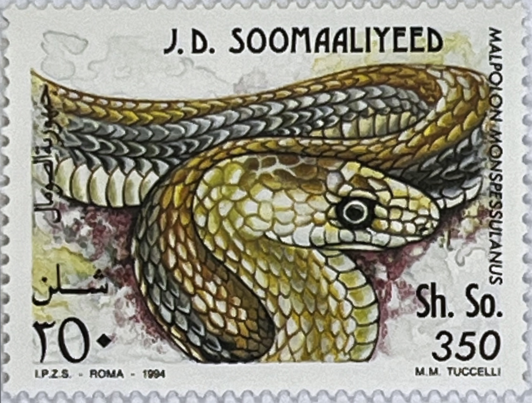 🐍 Hipnotyzujące Piękno – Kompletna Seria „Węże” (Somalia 1994) MNH! ✨ - obrazek 4