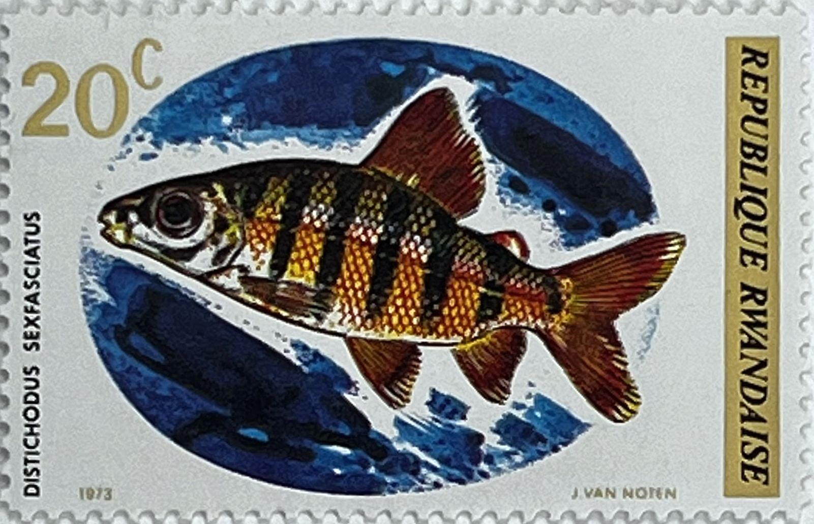 🐠 Podwodny Świat Afryki – Kompletna Seria „Ryby” (Rwanda 1973) MNH! 🇷🇼