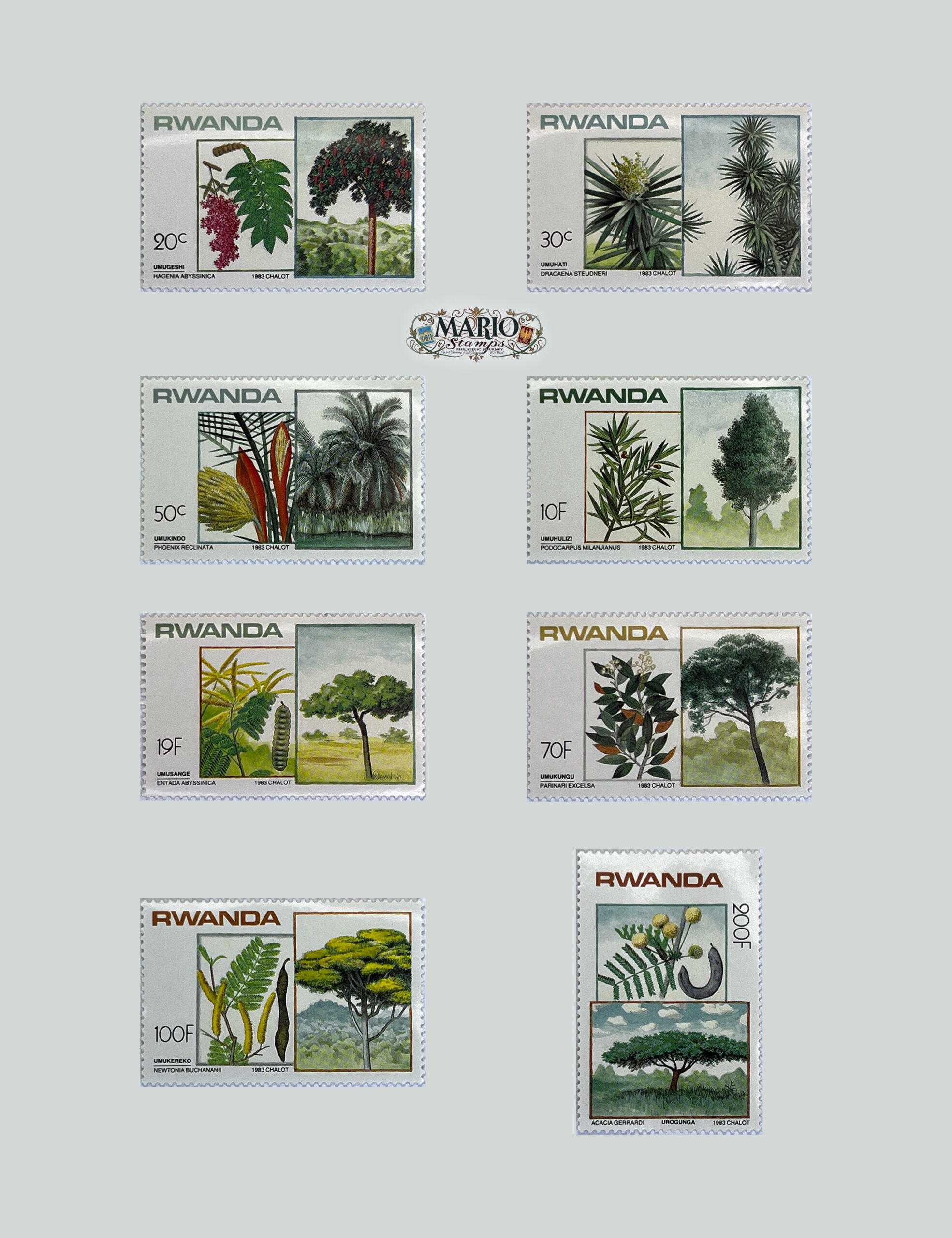 🌳 Botaniczne Skarby Afryki – Kompletna Seria „Drzewa i Krzewy” (Rwanda 1984) MNH! 🇷🇼