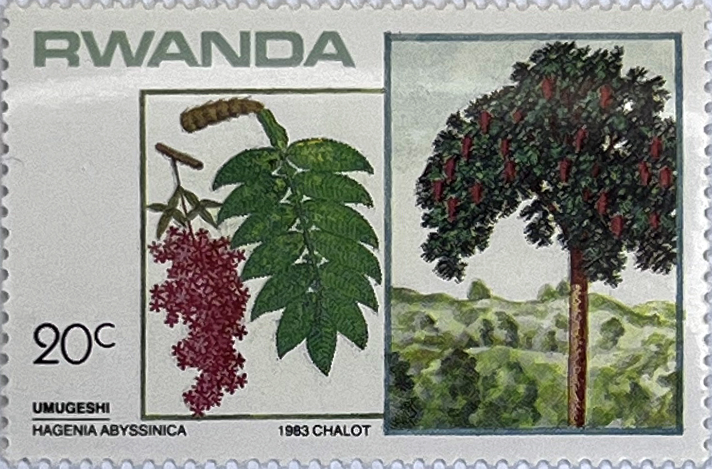🌳 Botaniczne Skarby Afryki – Kompletna Seria „Drzewa i Krzewy” (Rwanda 1984) MNH! 🇷🇼