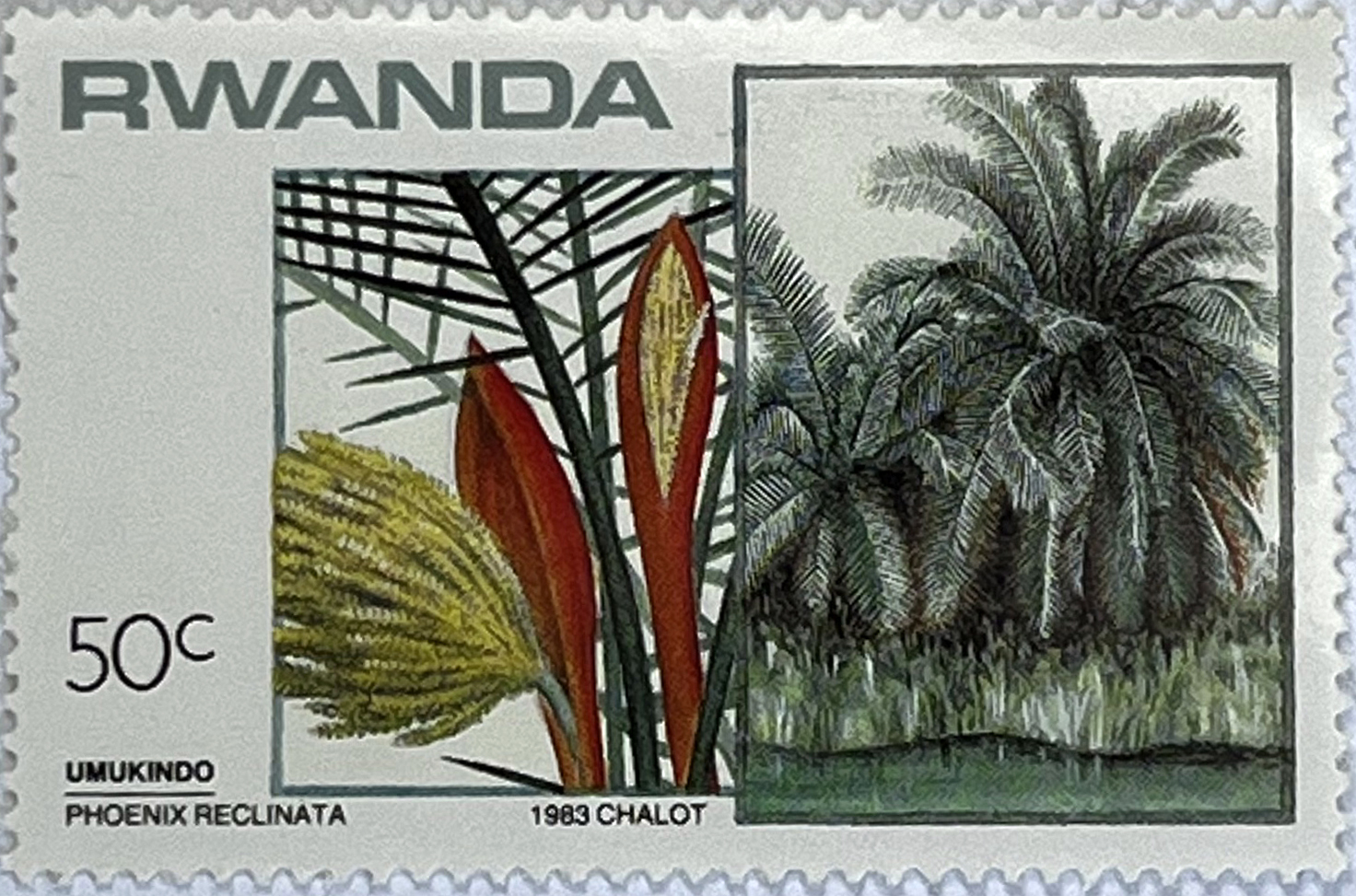 🌳 Botaniczne Skarby Afryki – Kompletna Seria „Drzewa i Krzewy” (Rwanda 1984) MNH! 🇷🇼 - obrazek 4