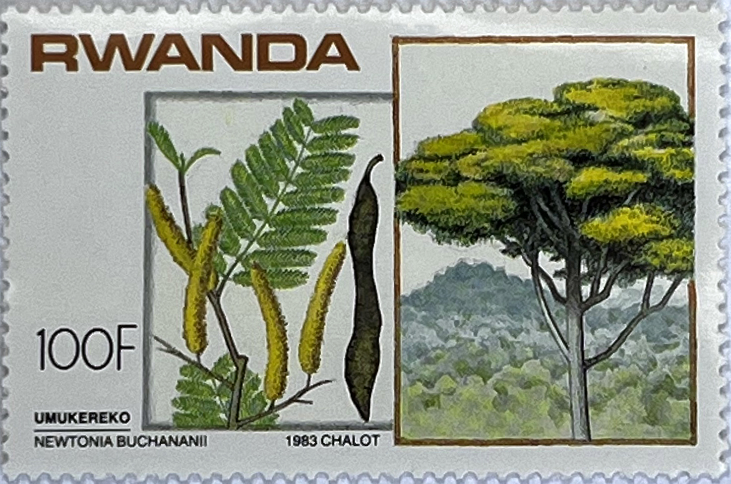 🌳 Botaniczne Skarby Afryki – Kompletna Seria „Drzewa i Krzewy” (Rwanda 1984) MNH! 🇷🇼 - obrazek 8