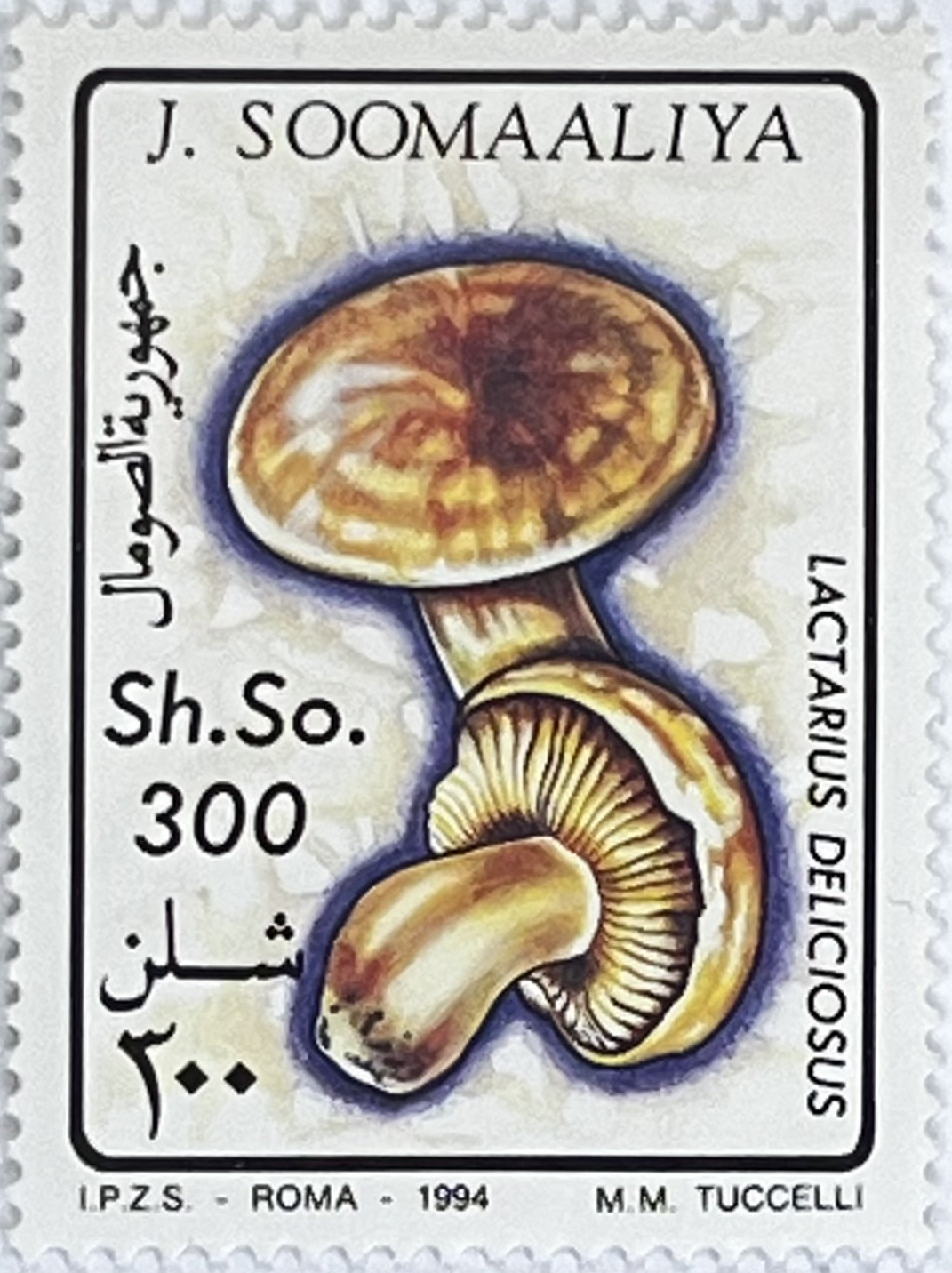 🍄 Leśne Skarby – Kompletna Seria „Grzyby” (Somalia 1994) MNH! 🇸🇴