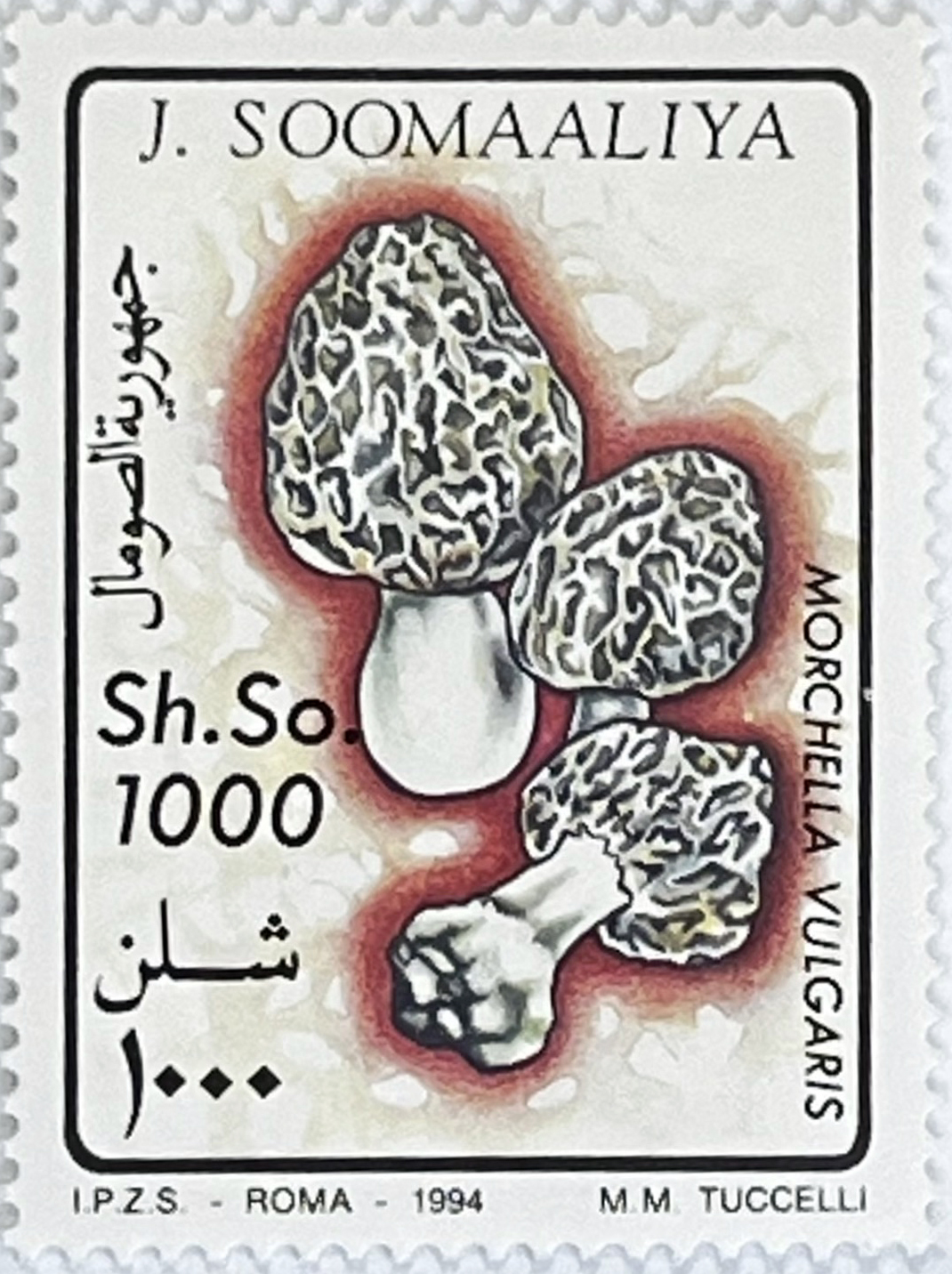 🍄 Leśne Skarby – Kompletna Seria „Grzyby” (Somalia 1994) MNH! 🇸🇴 - obrazek 5