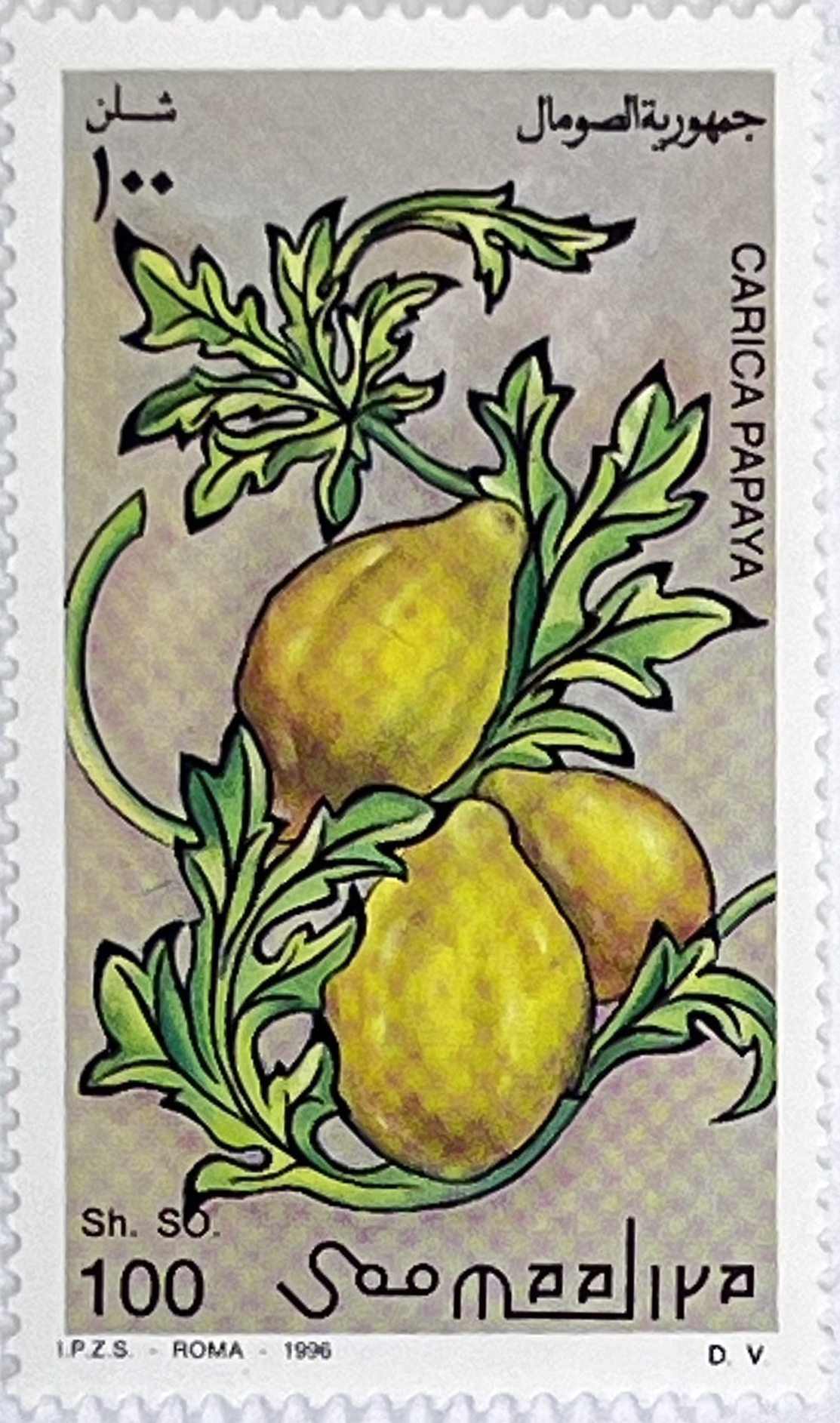 🍌 Egzotyczne Smaki – Kompletna Seria „Owoce Świata” (Somalia 1996) MNH! 🇸🇴