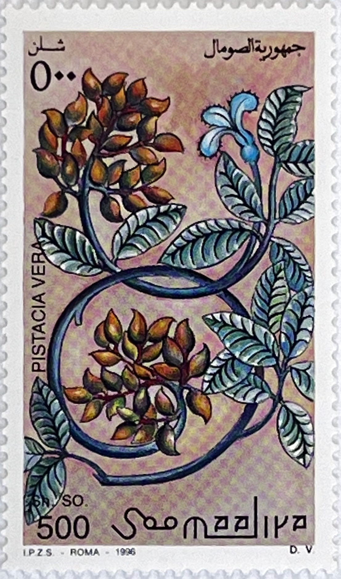 🍌 Egzotyczne Smaki – Kompletna Seria „Owoce Świata” (Somalia 1996) MNH! 🇸🇴 - obrazek 3