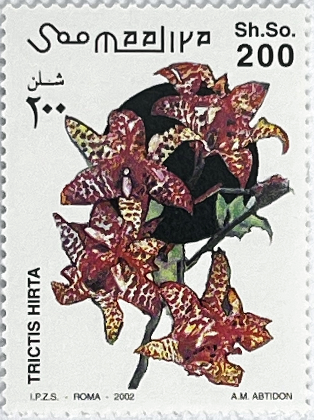 🌺 Egzotyczne Piękno – Kompletna Seria „Kwiaty i Storczyki” (Somalia 2002) MNH!