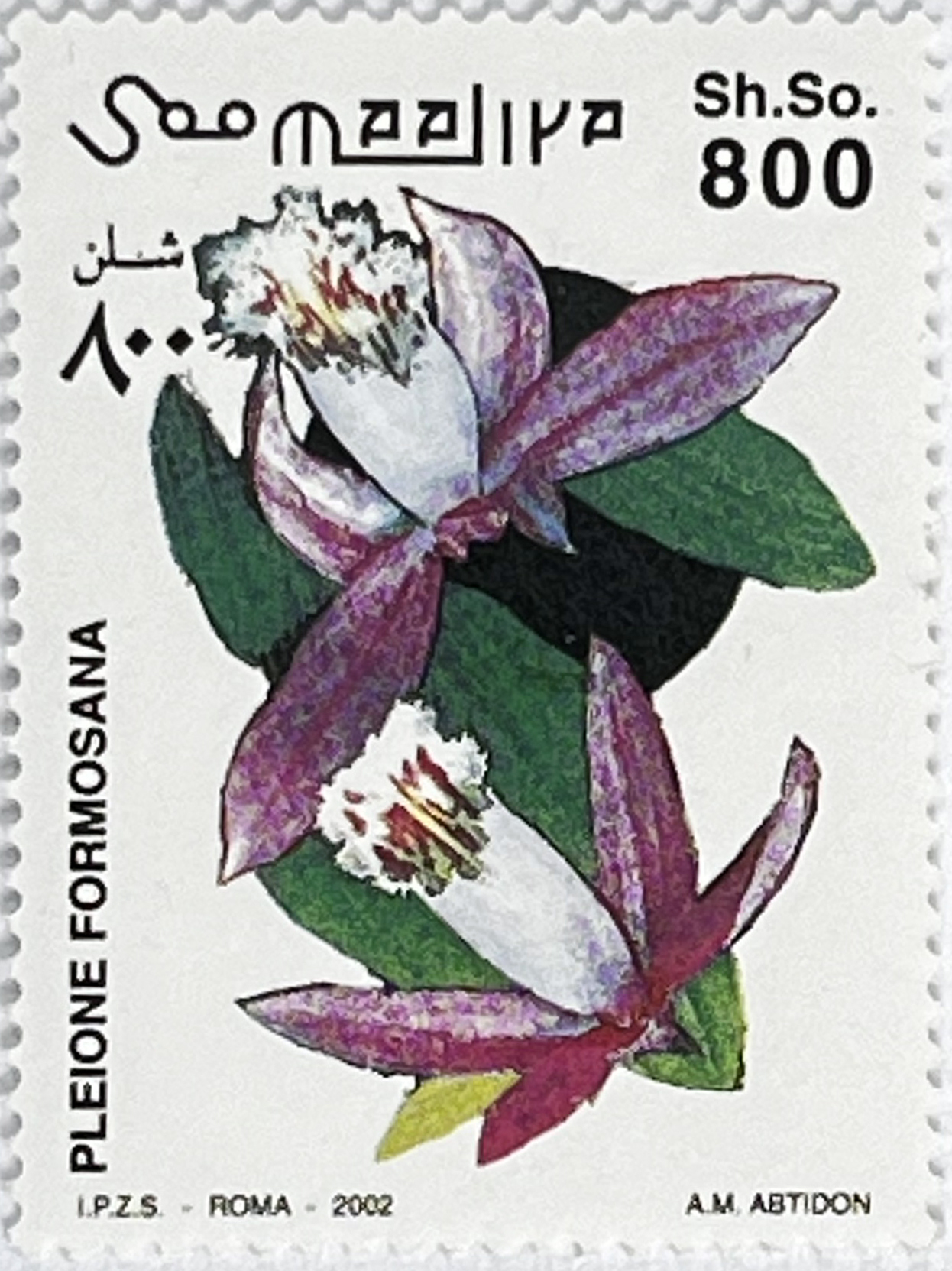🌺 Egzotyczne Piękno – Kompletna Seria „Kwiaty i Storczyki” (Somalia 2002) MNH! - obrazek 6
