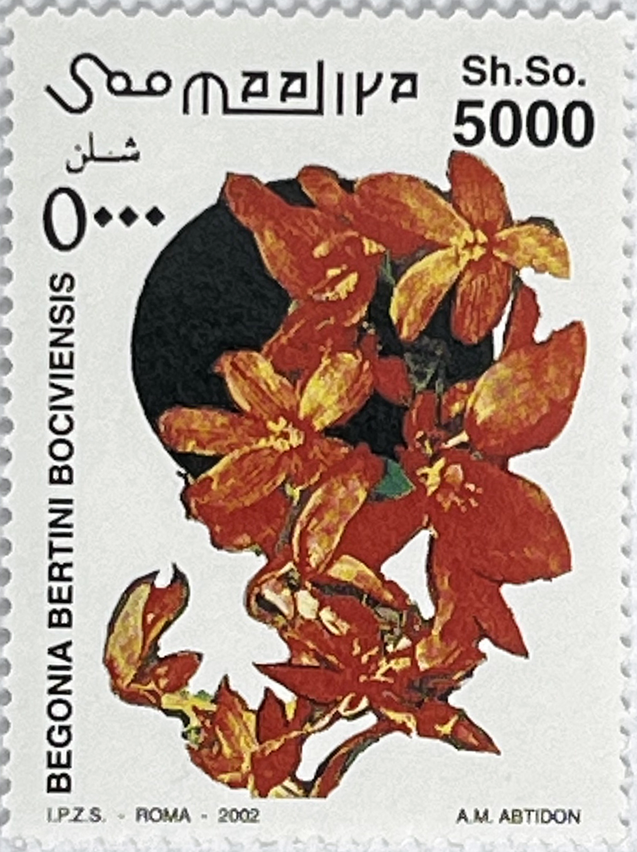 🌺 Egzotyczne Piękno – Kompletna Seria „Kwiaty i Storczyki” (Somalia 2002) MNH! - obrazek 9
