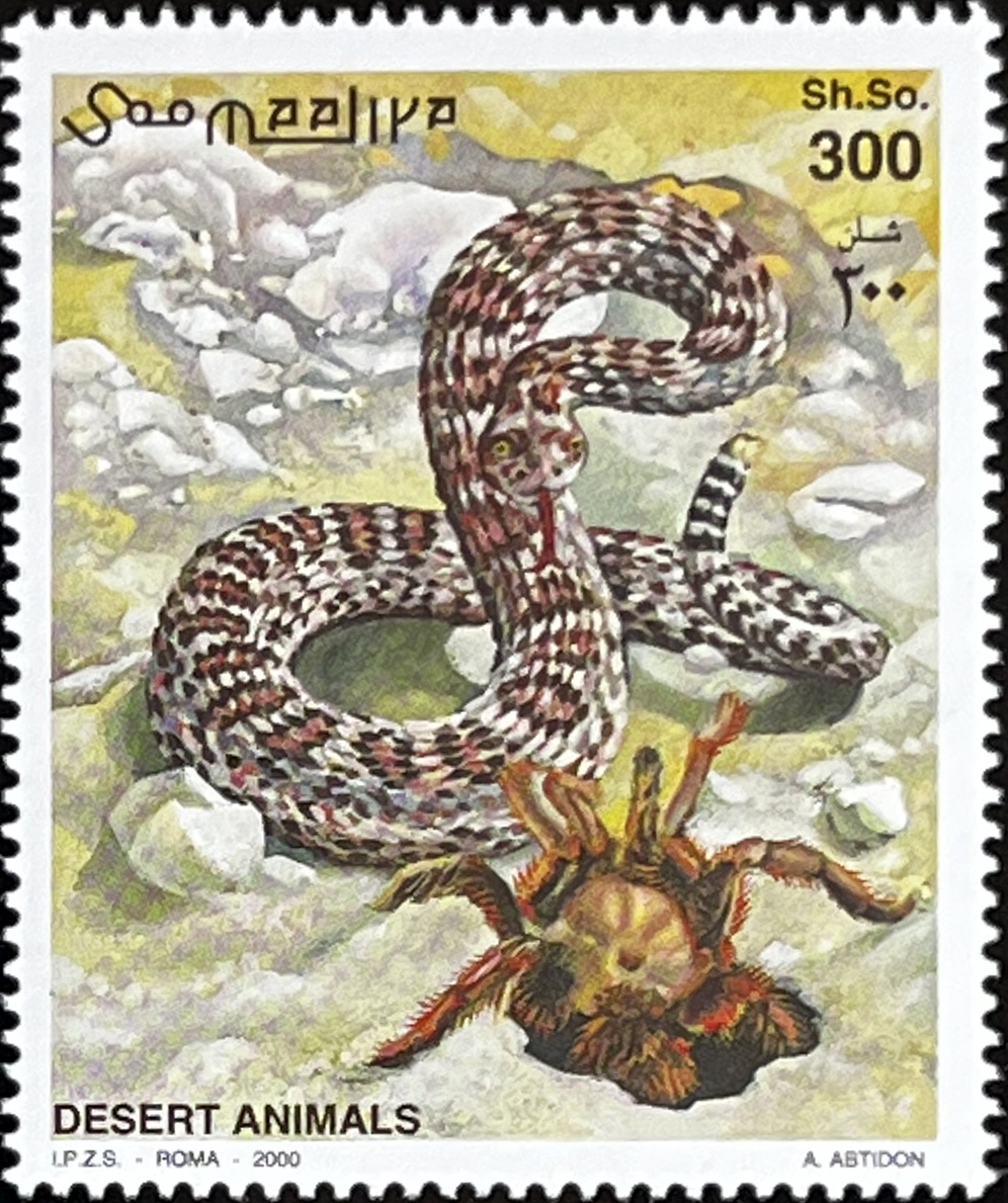 🦎 Mieszkańcy Wydm – Kompletna Seria „Zwierzęta Pustyni” z Blokiem (Somalia 2000) MNH! 🇸🇴 - obrazek 4