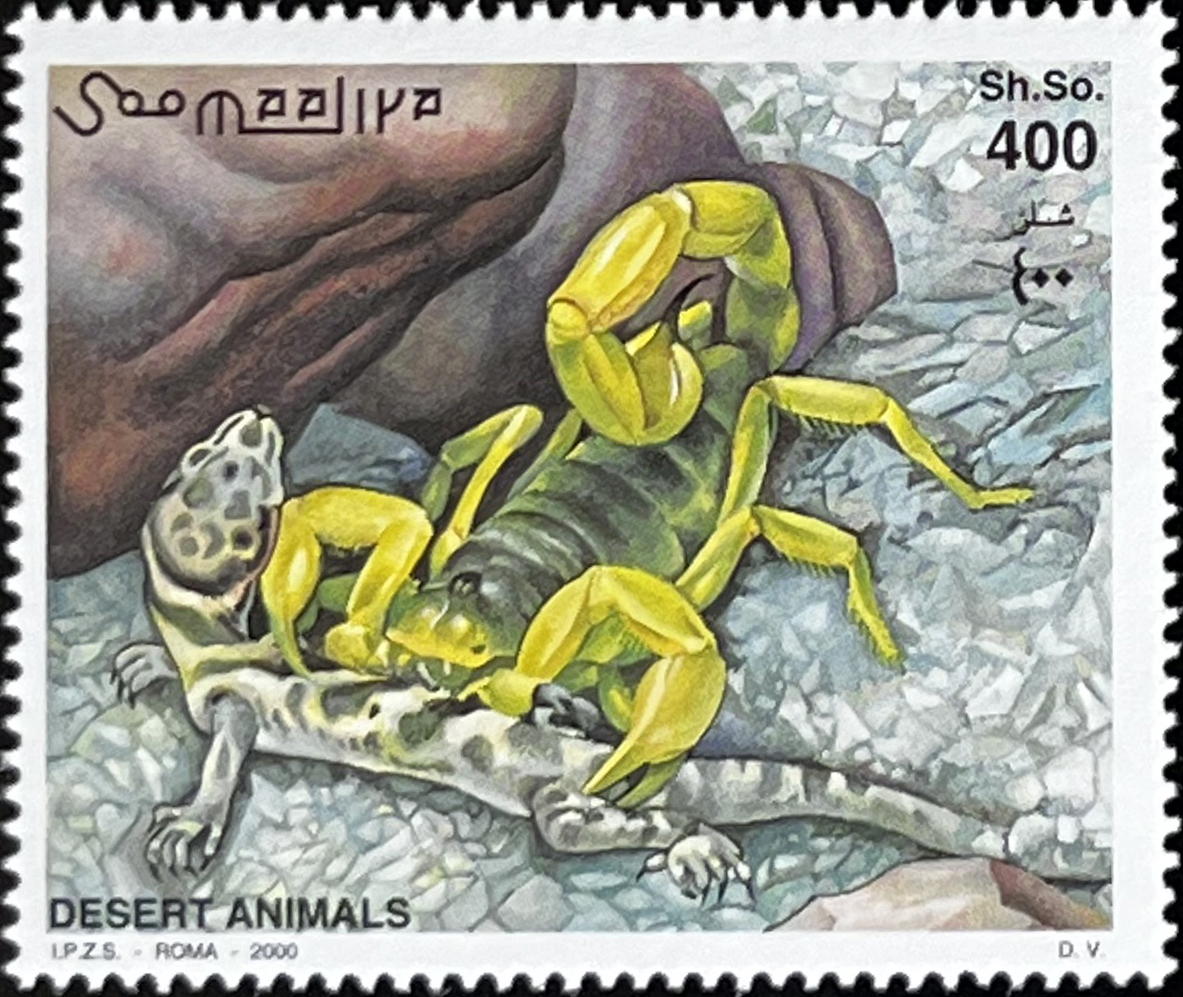 🦎 Mieszkańcy Wydm – Kompletna Seria „Zwierzęta Pustyni” z Blokiem (Somalia 2000) MNH! 🇸🇴 - obrazek 5